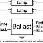 277 Volt Light Wiring Diagram | Wiring Diagram   277 Volt Lighting Wiring Diagram