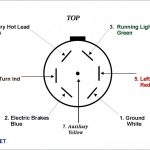 7 Pin Wiring Harness   Data Wiring Diagram Schematic   Trailer Light Wiring Diagram 7 Way