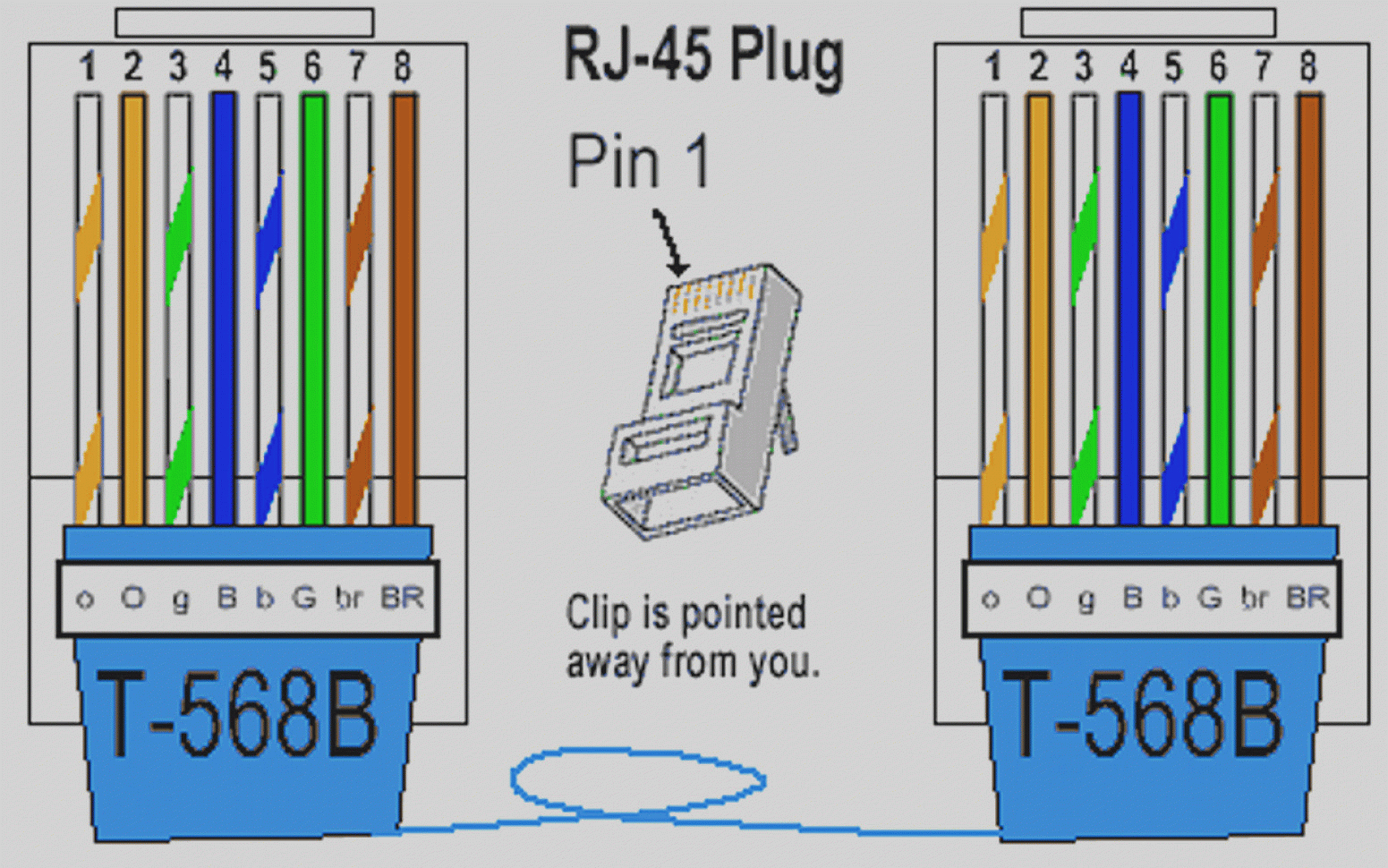 Cat5 Wiring Layout Cat 5 Cable Connector Wiring Diagram Cat5