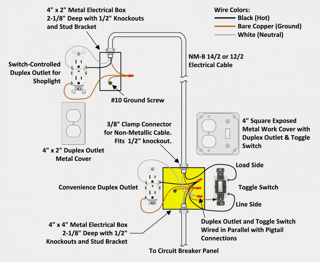 Best Light Socket Wiring Diagram Australia Electrical Why Is My - Light Socket Wiring Diagram