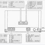 Bulldog Security Rs83B Remote Start Wiring Diagram | Wiring Diagram   Bulldog Remote Start Wiring Diagram