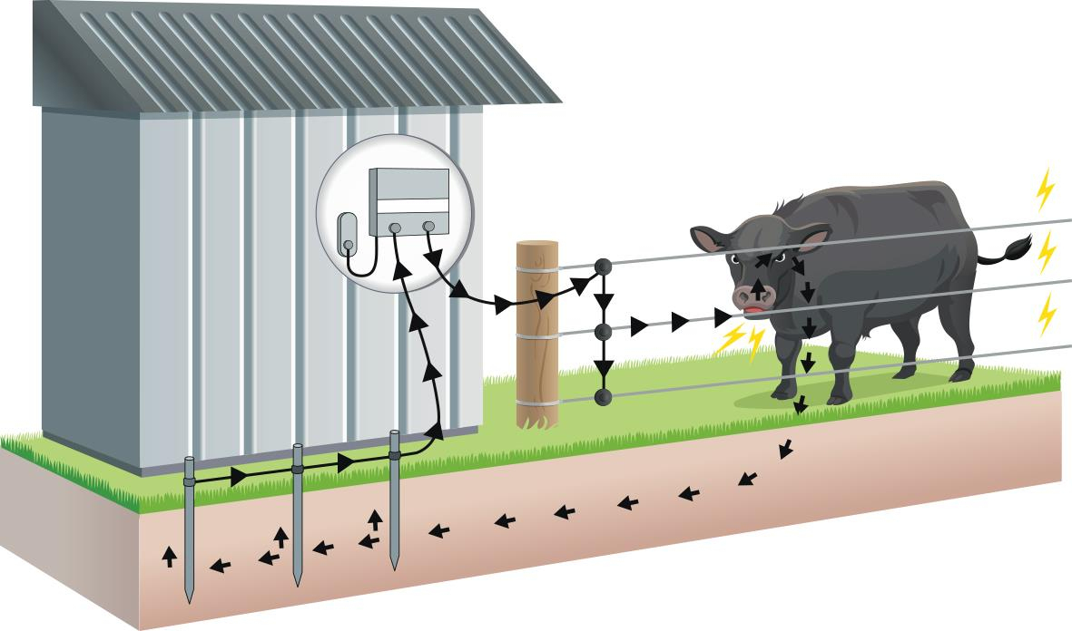 Wiring An Electric Fence