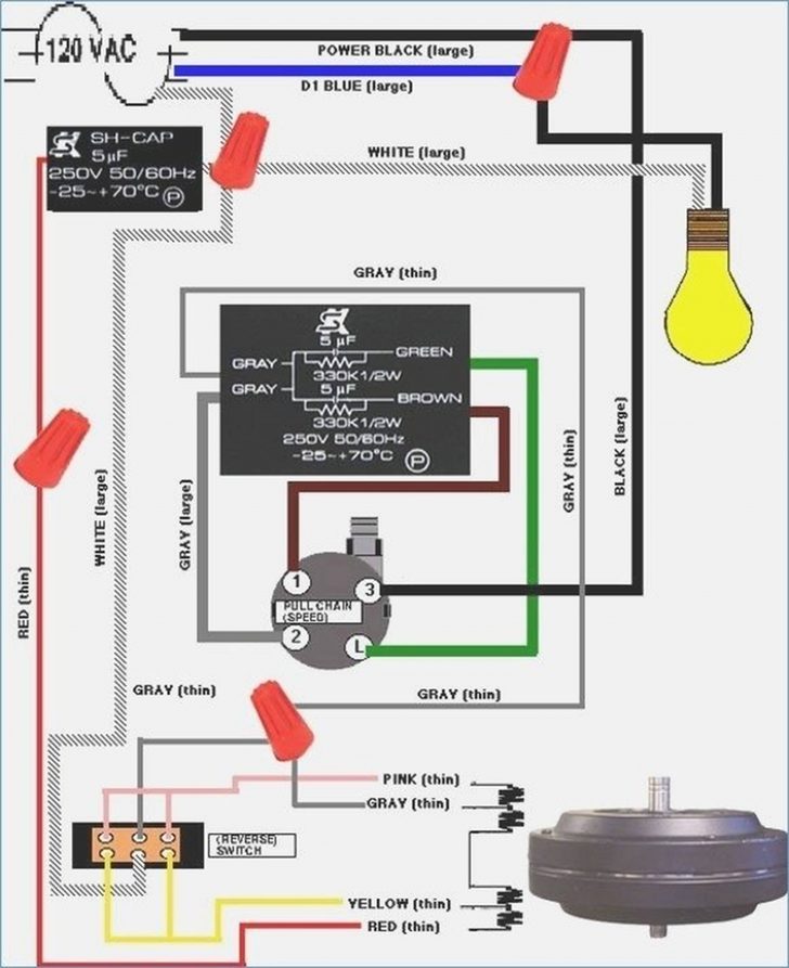 Fans Wiring Schematic | Wiring Diagram - Fan Relay Wiring Diagram ...