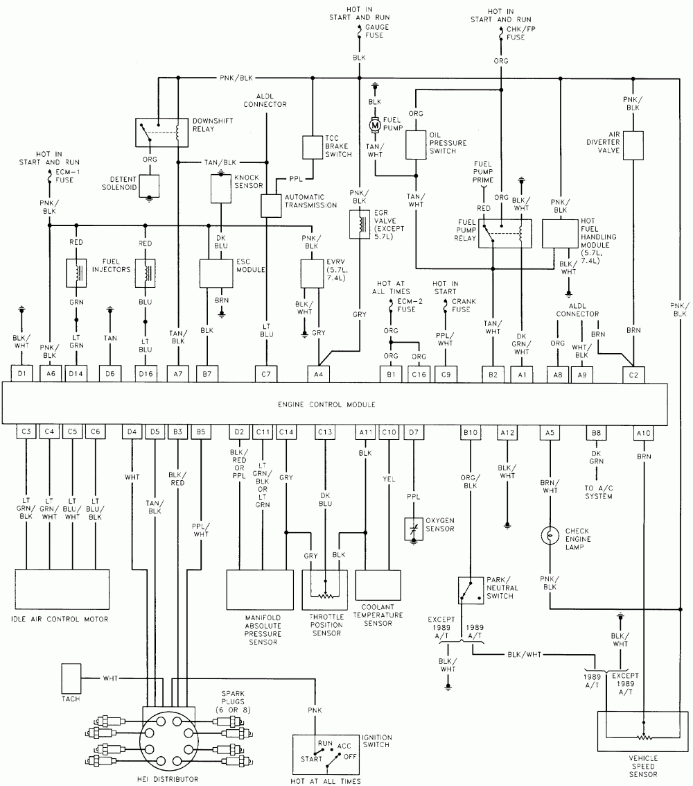 1989 Pace Arrow Wiring Diagram from 2020cadillac.com