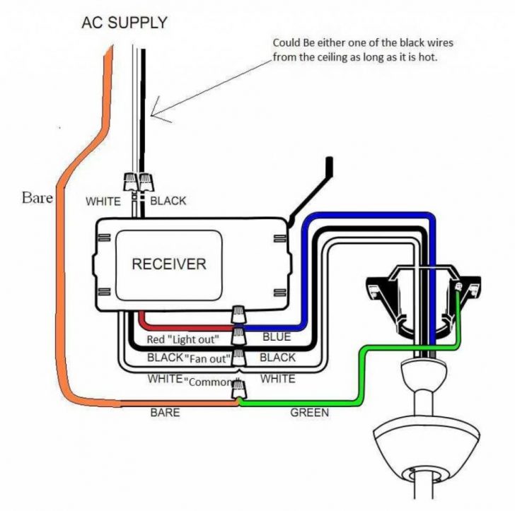 Hampton Bay Ceiling Fan Wiring Diagram Blue Wire - Laceged