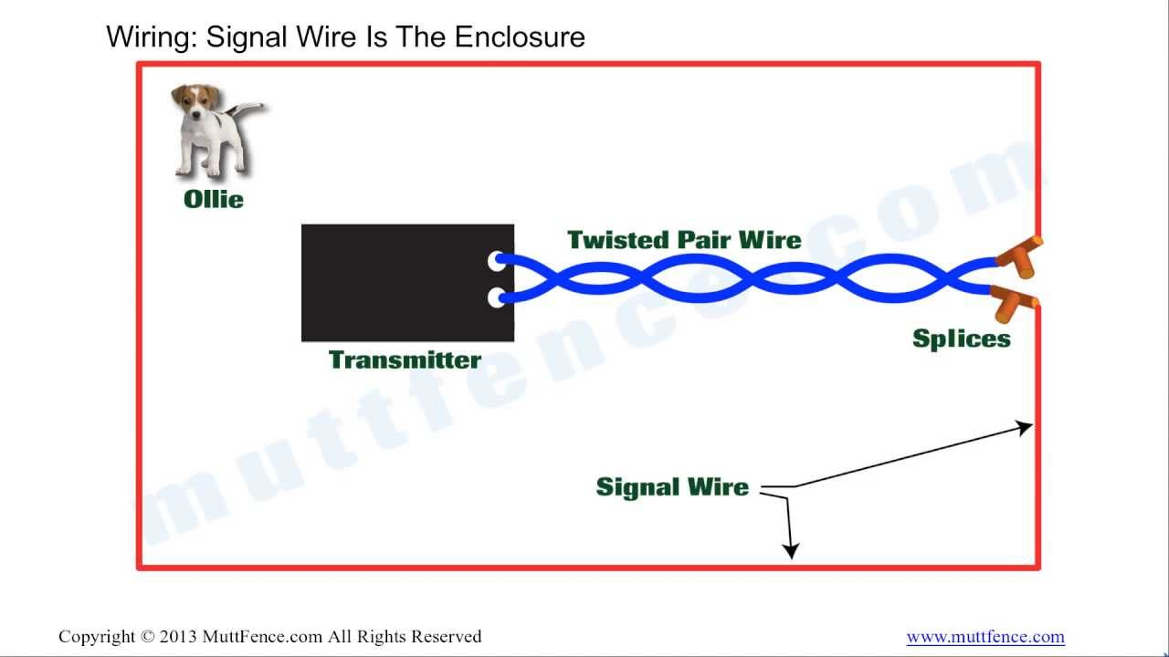 In Ground Fence Wiring Basics - Youtube - Electric Fence Wiring Diagram
