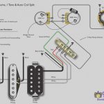 Japanese Fender 5 Way Switch Wiring Diagram   Wiring Block Diagram   Coil Split Wiring Diagram