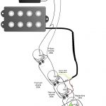 Jazz Bass Wiring Diagram Excellent Stain Pickup Best Collection And   Jazz Bass Wiring Diagram