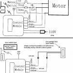 Liftmaster Wiring Diagram Sensors | Manual E Books   Liftmaster Garage Door Opener Wiring Diagram