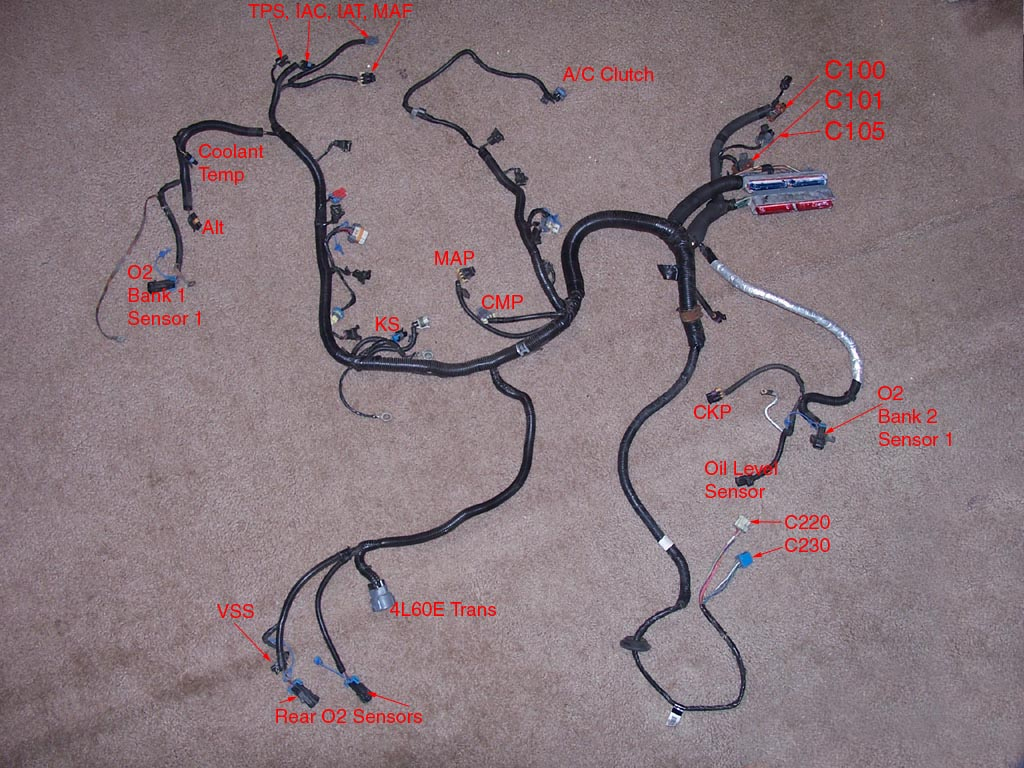 Ls1 Wiring Harness Pinout - Today Wiring Diagram - Ls Wiring Harness Diagram