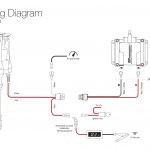 Pro P Distributor Wiring Diagram Electronic | Manual E Books   Distributor Wiring Diagram