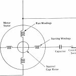Single Phase Capacitor Start Induction Motor Wiring Diagram | Wiring   6 Lead Single Phase Motor Wiring Diagram