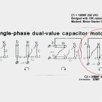 Single Phase Motor Wiring Diagram With Capacitor Start Run   Single Phase Motor Wiring Diagram With Capacitor Start
