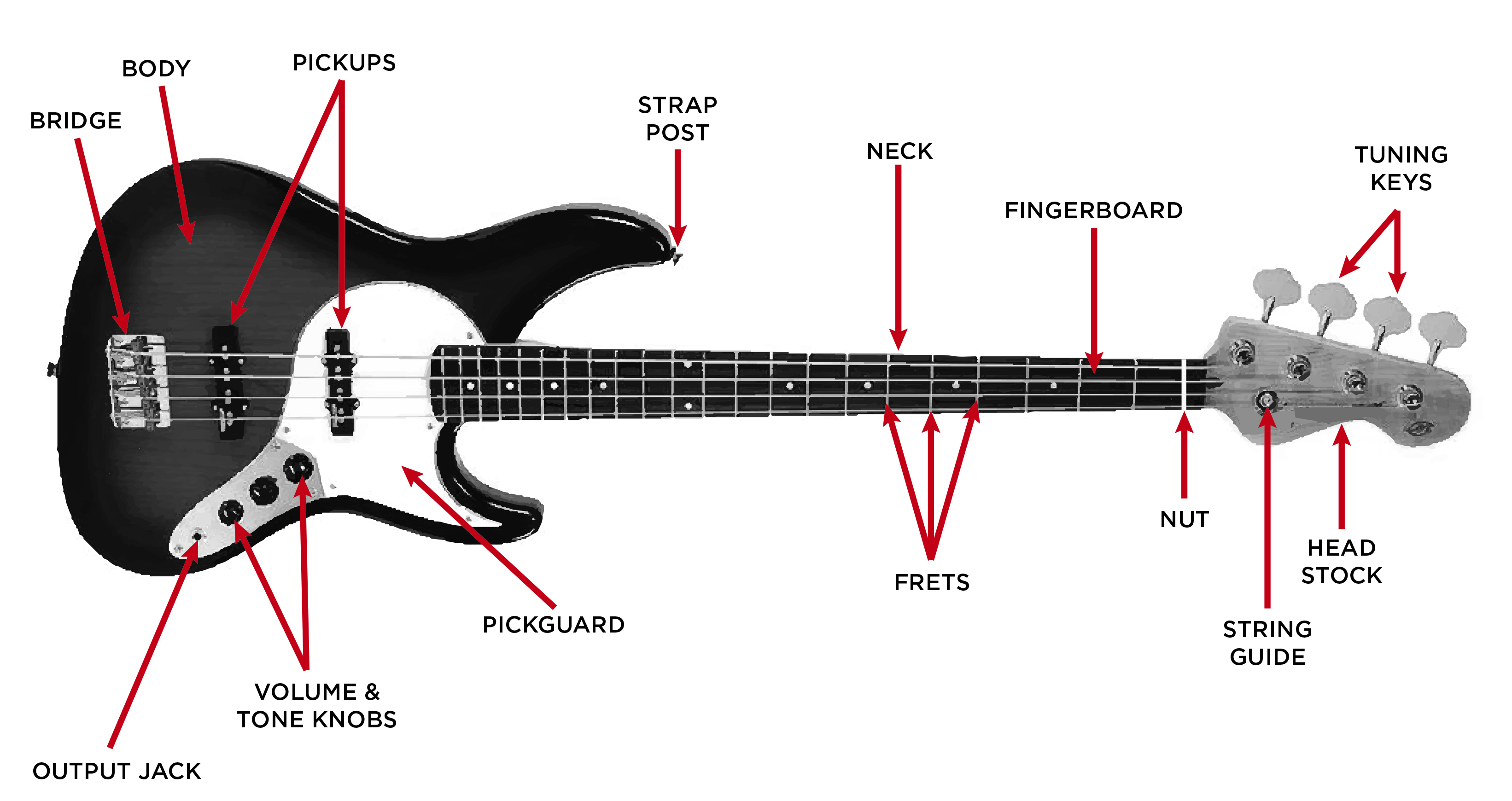 Диаграмма гитары. Fender Jazz tele чертеж. Строение бас гитары 4 струны. Строение электро бас гитары. Бас гитара сзади.