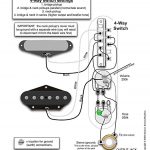 Tele Wiring Diagram With 4 Way Switch | Telecaster Build | Guitar   P Bass Wiring Diagram