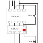 Three Phase Dol Starter Wiring Diagram Component Single Motor   Starter Wiring Diagram
