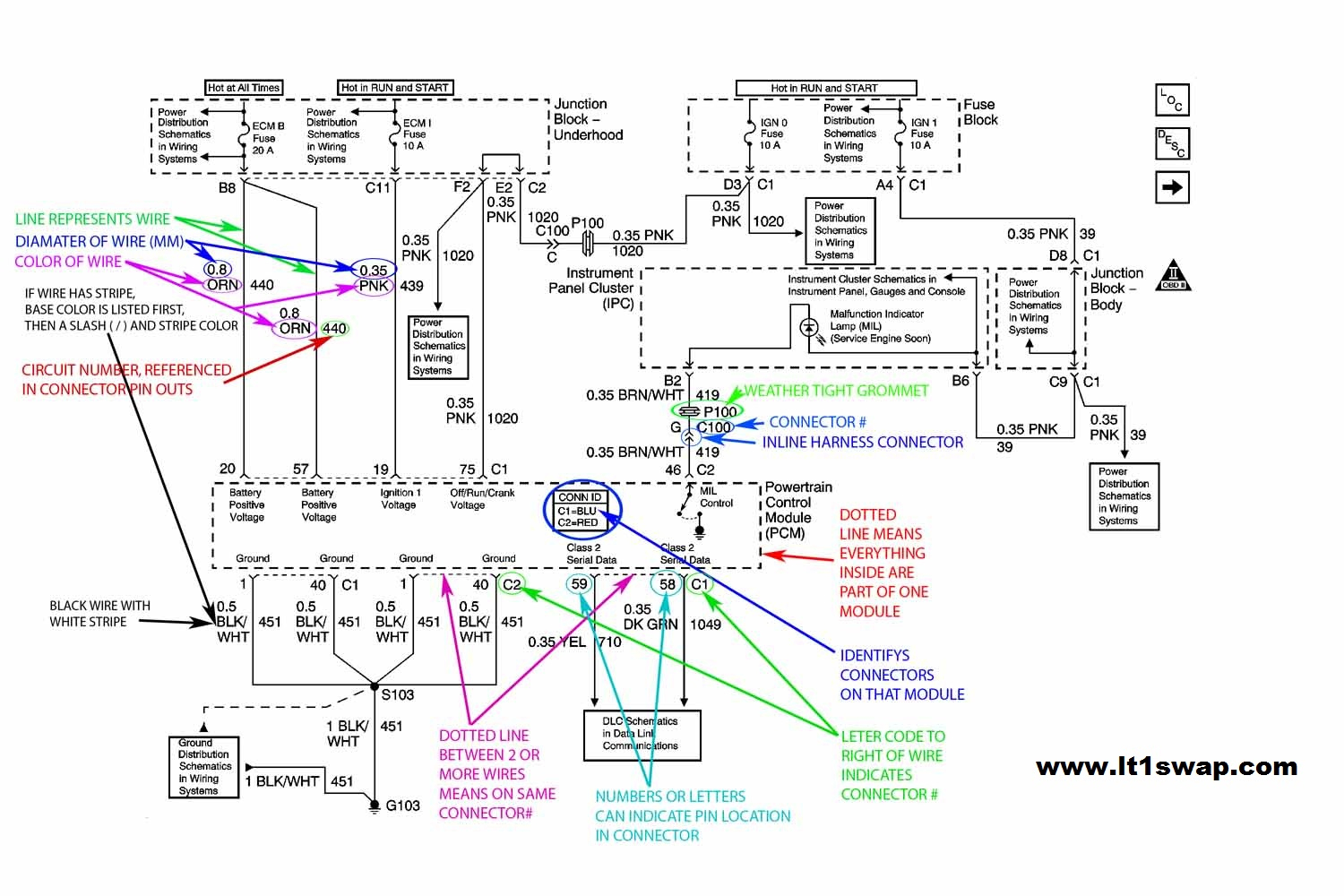 Wiring Harness Information - 4.3 Vortec Wiring Diagram