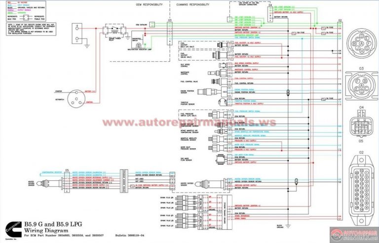 Xr80 Wiring Diagram Further Badlands Turn Signal Module Wiring